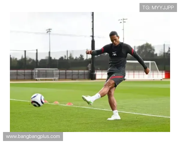 跟队乔戈麦斯科纳特今日未训